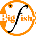 โลโก้บริษัท BigFish Enterprise Limited