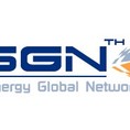 โลโก้บริษัท Synergy Global Network Company Limited